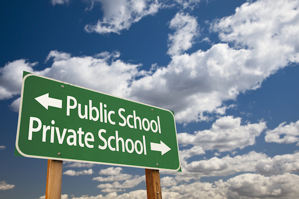 Risk planning and grand ideas about private schooling